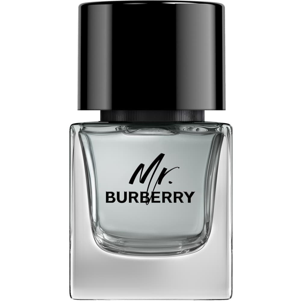 Burberry Mr Burberry
