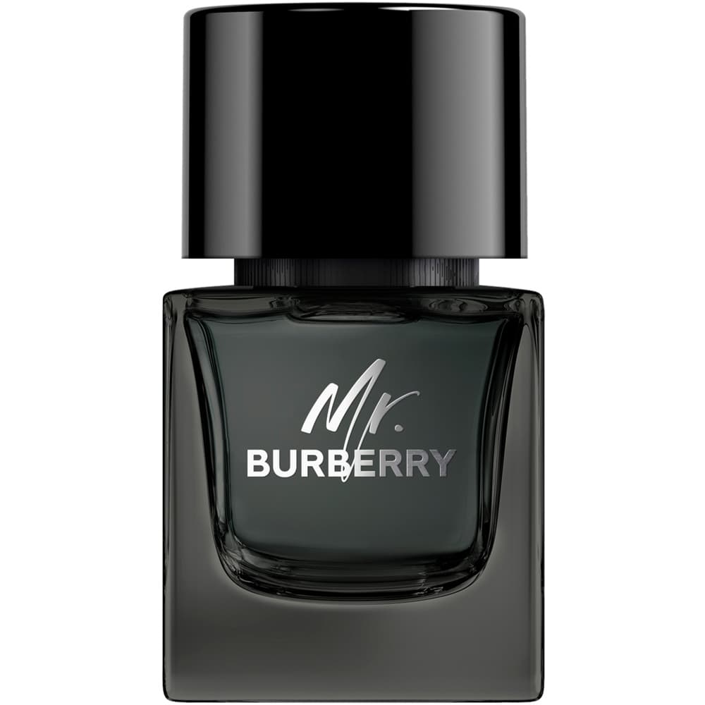 Burberry Mr Burberry