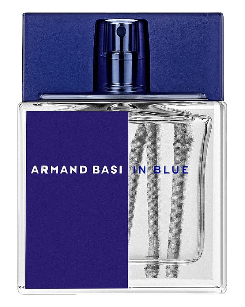 Armand Basi In Blue