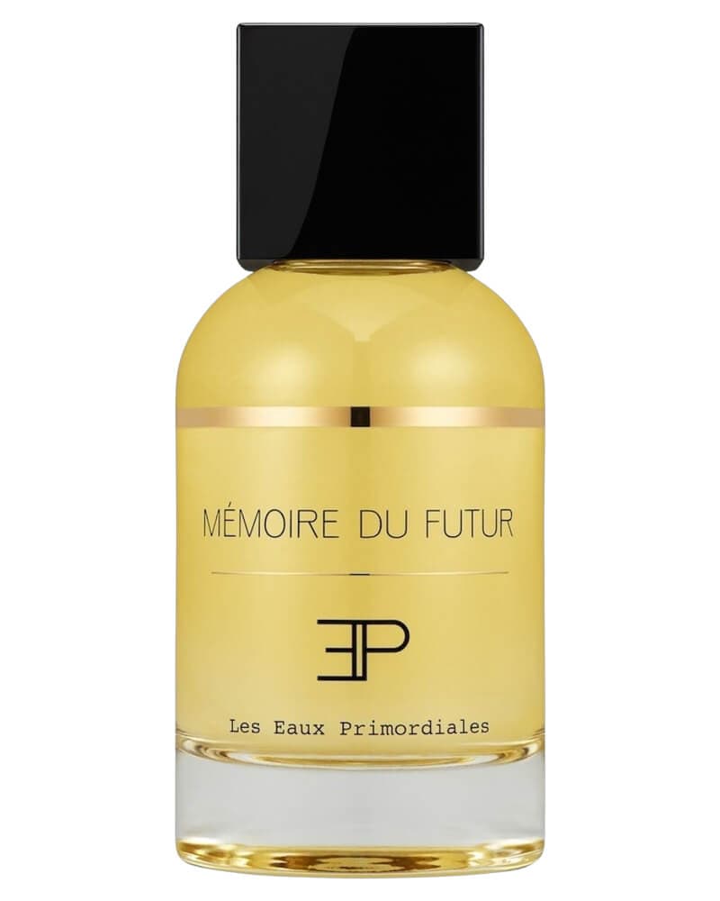 Les Eaux Primordiales Memoire du Futur