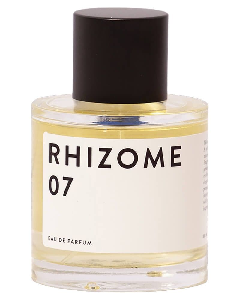 Rhizome 07