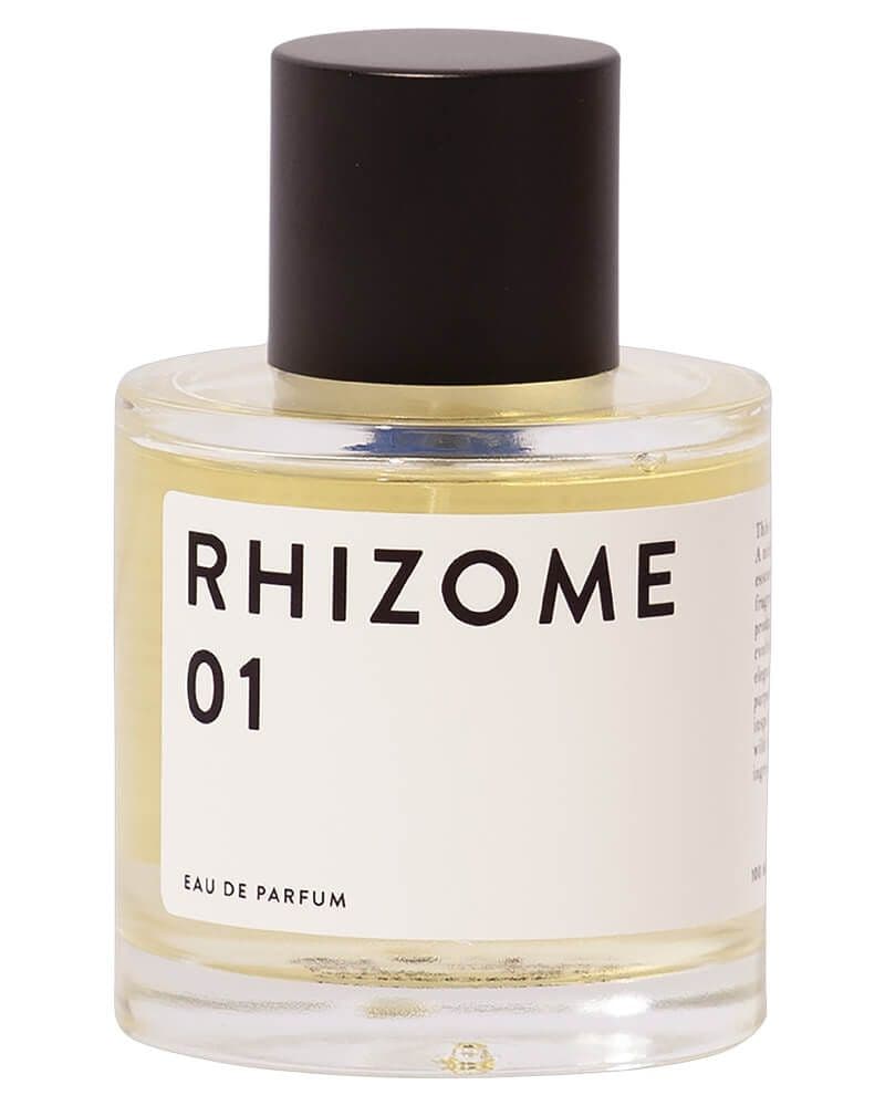 Rhizome 01