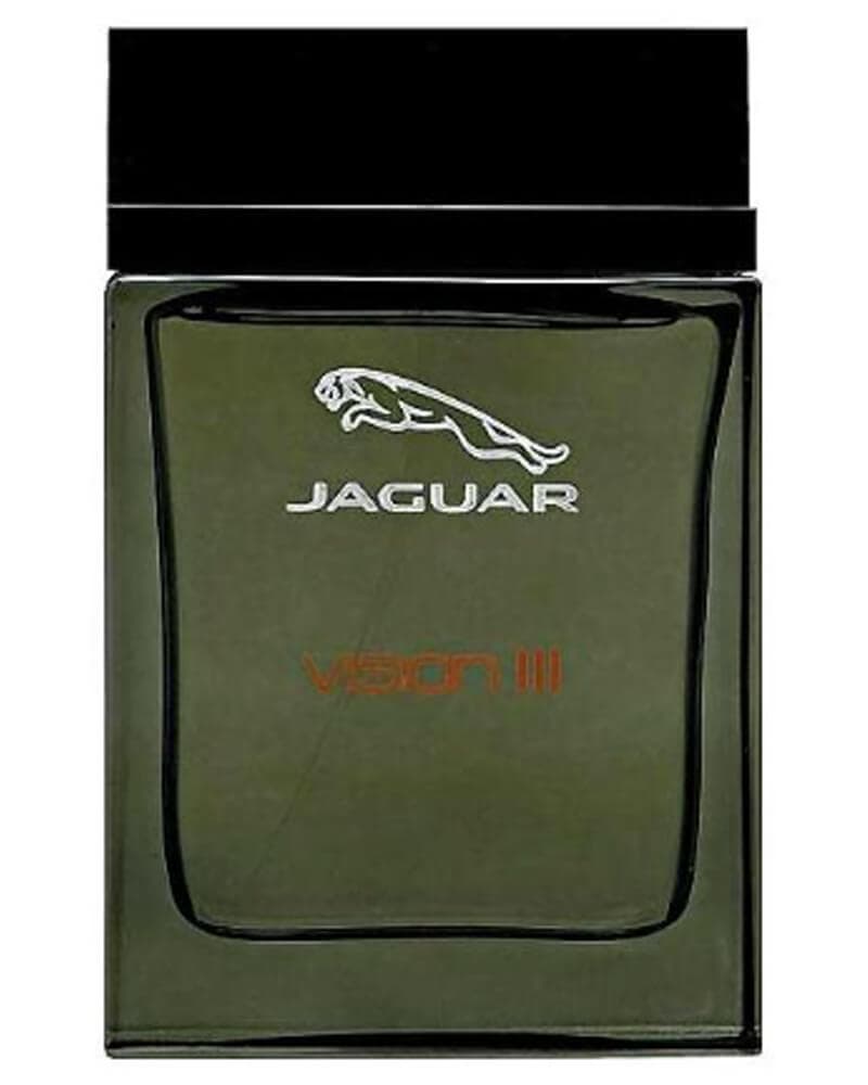 Jaguar Vision Lll