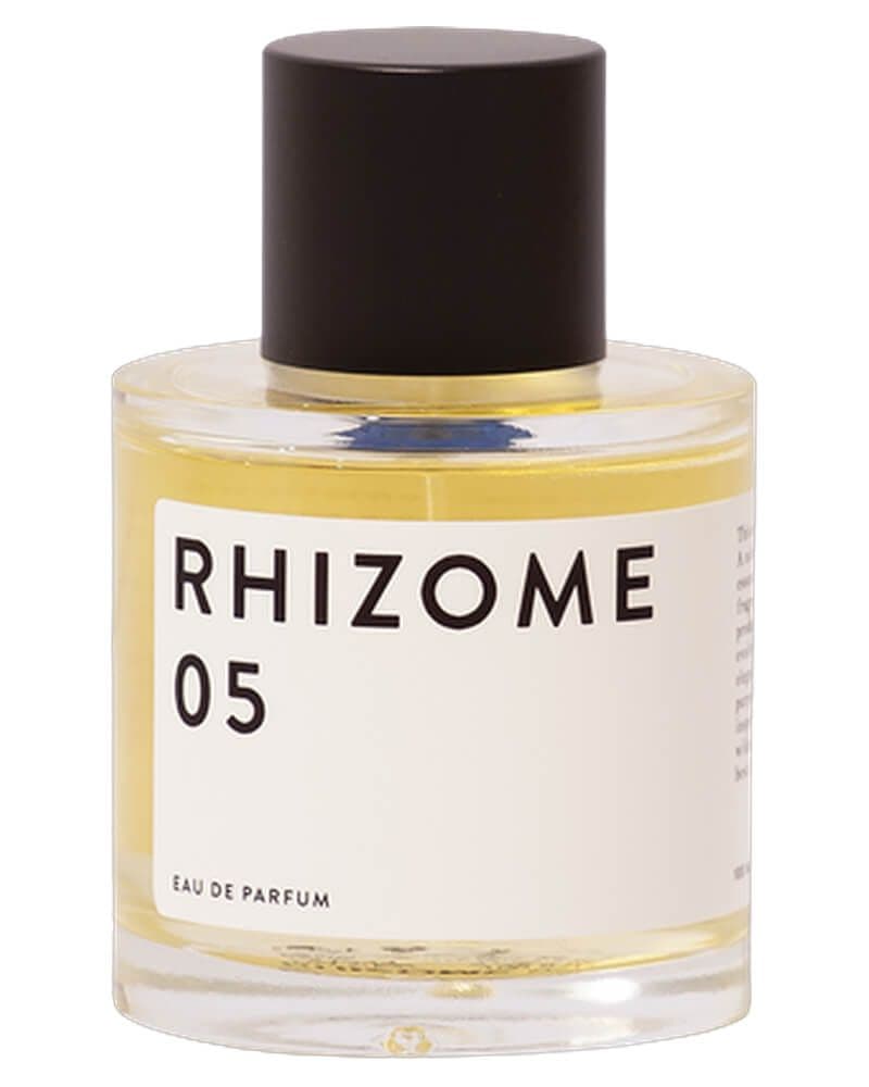 Rhizome 05