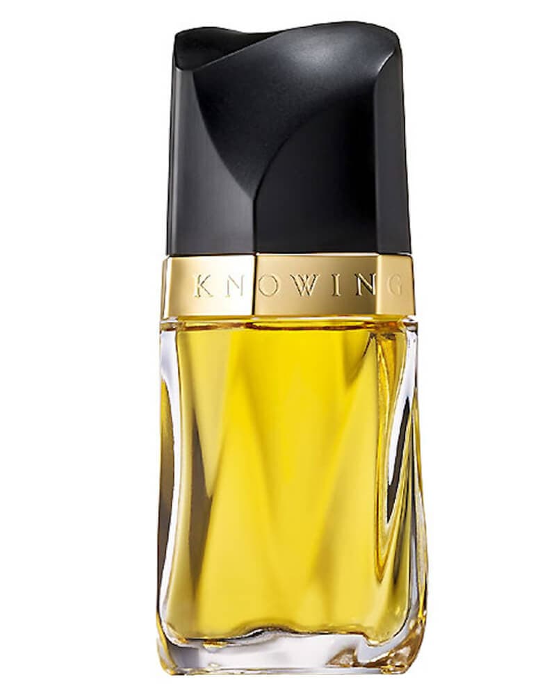 Estée Lauder Knowing