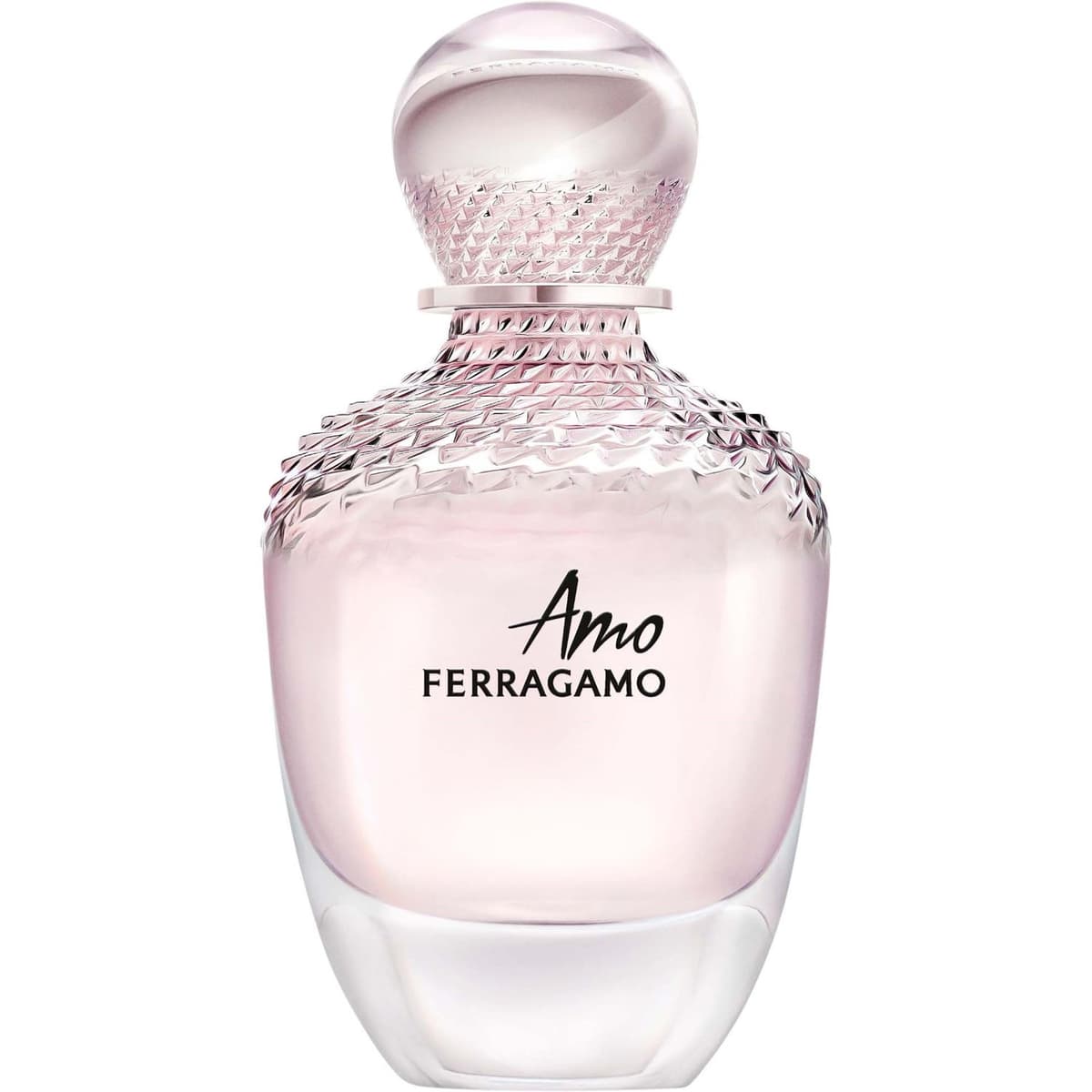 Ferragamo Amo